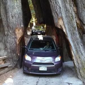 Meet your Posher, Anne